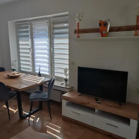 Rene Deluxe Apartament 2 Zimmer In Einer Wg Mit Gemeinschaftskueche Apartment